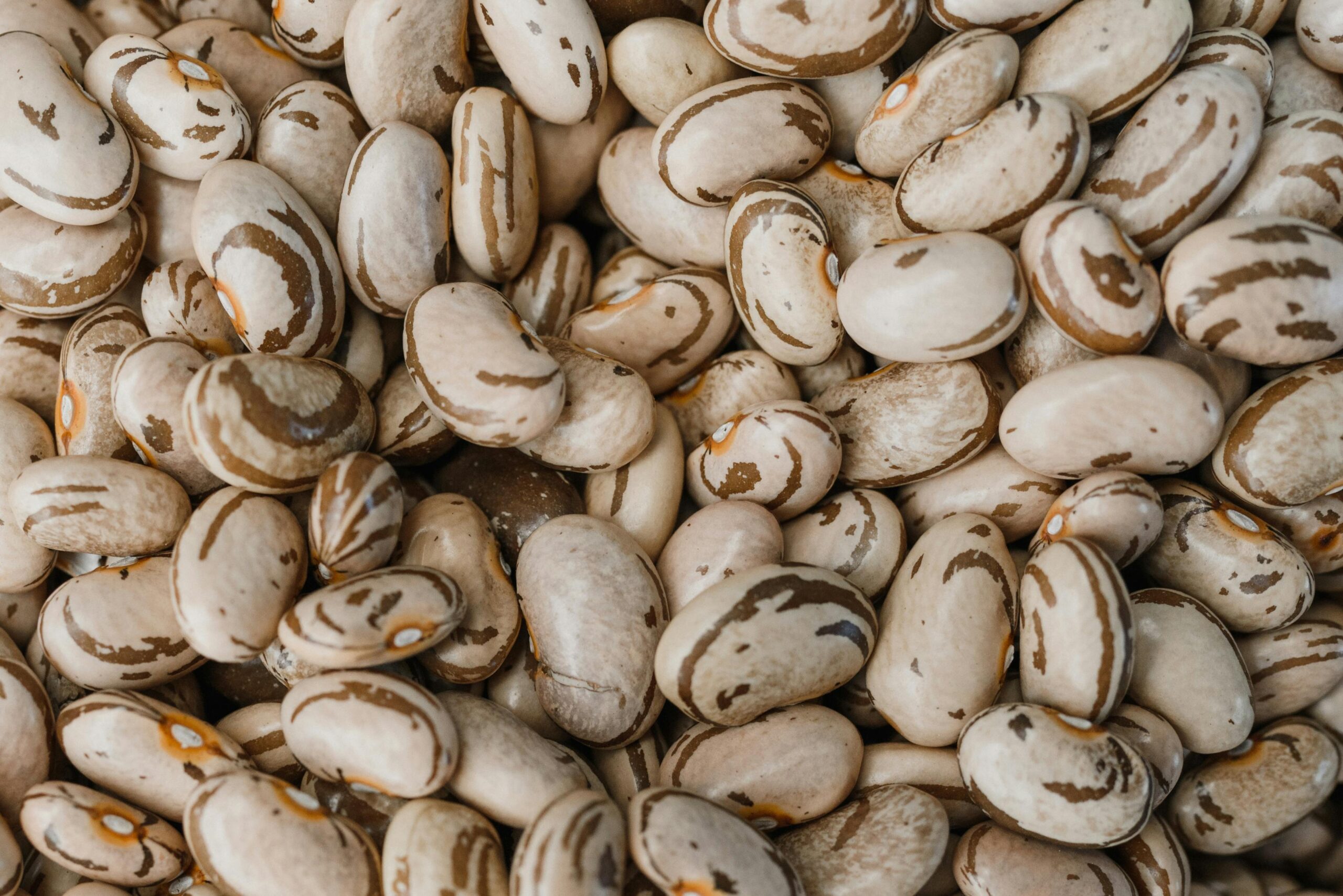 Pinto Beans Nutrition Facts: Complete Guide to Benefits and Uses