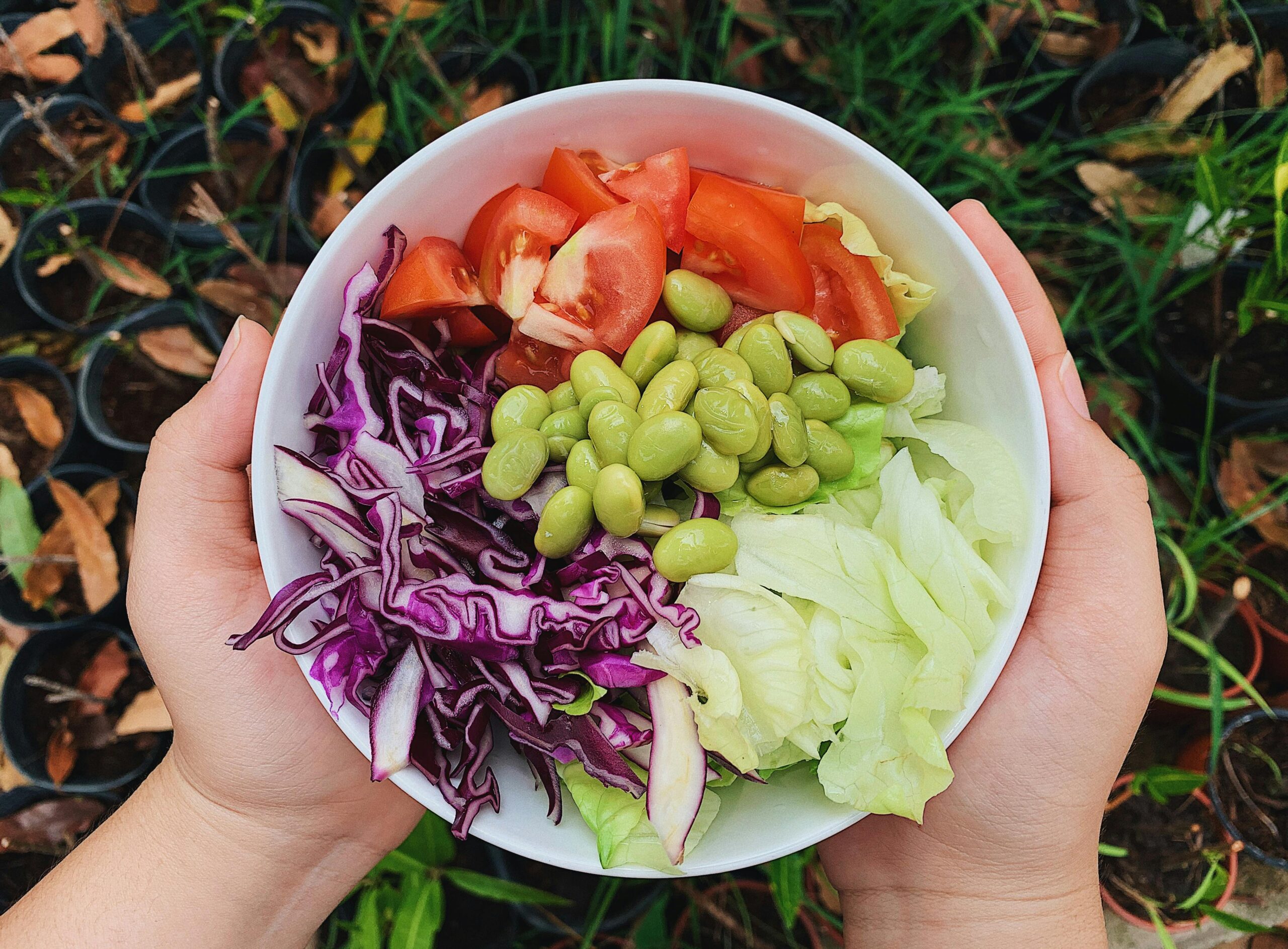 Plant Based Diet: Complete Guide to Benefits, Nutrition, and Getting Started
