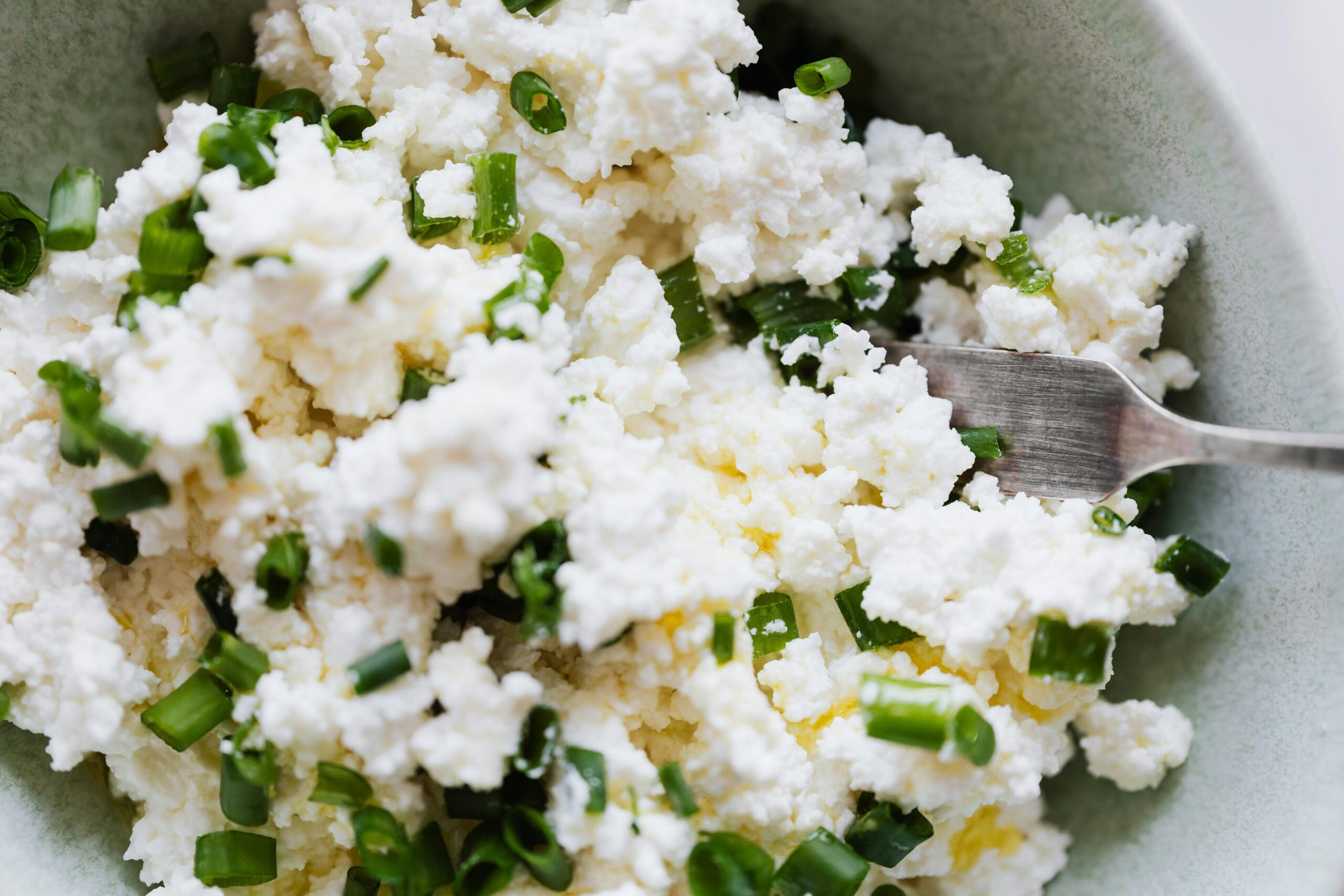 The Beginner’s Guide to Cottage Cheese Nutrition: Benefits and How to Add It to Your Diet The Beginner's Guide to Cottage Cheese Nutrition: Benefits and How to Add It to Your Diet