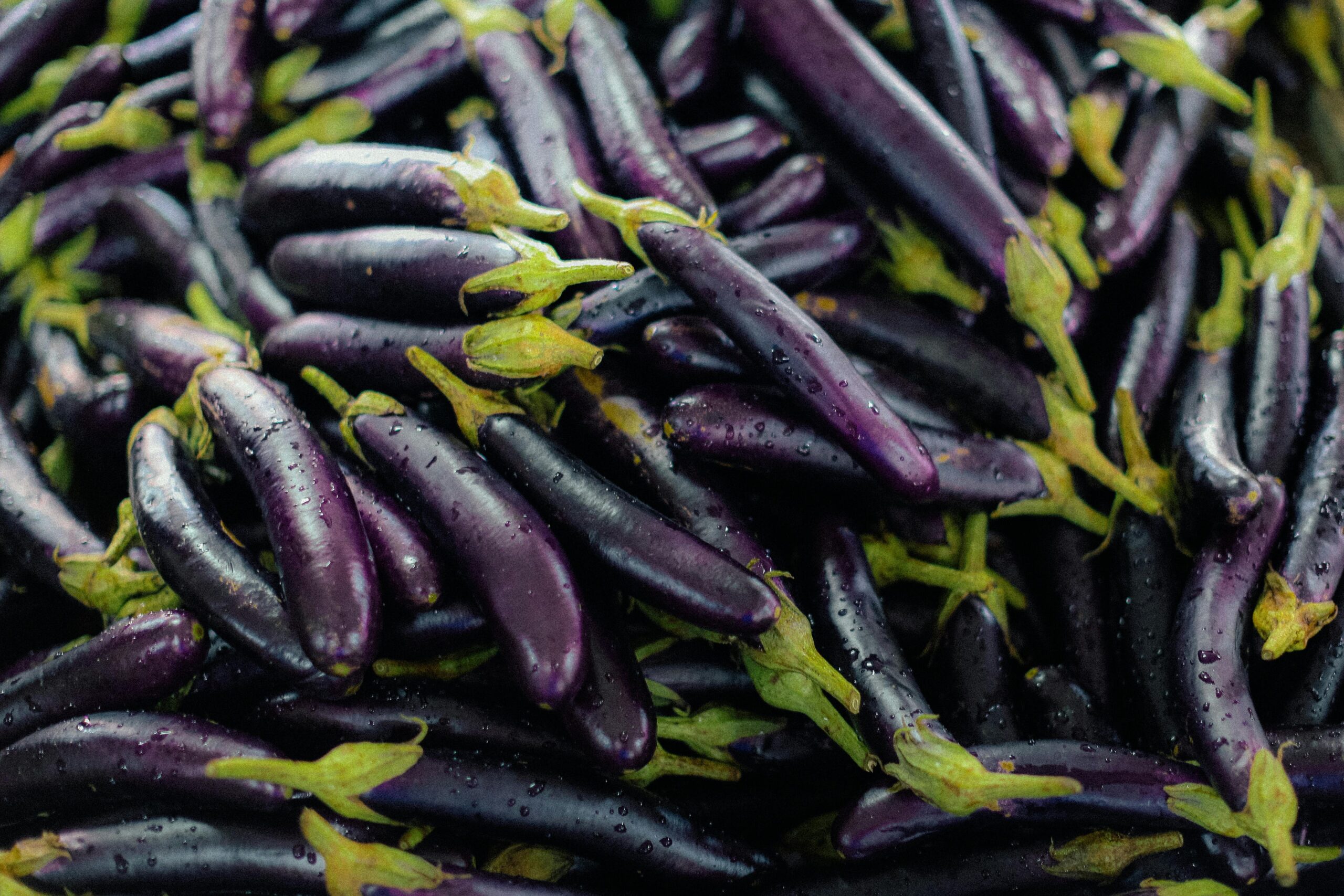 The Beginner's Guide to Eggplant Nutrition and Health Benefits