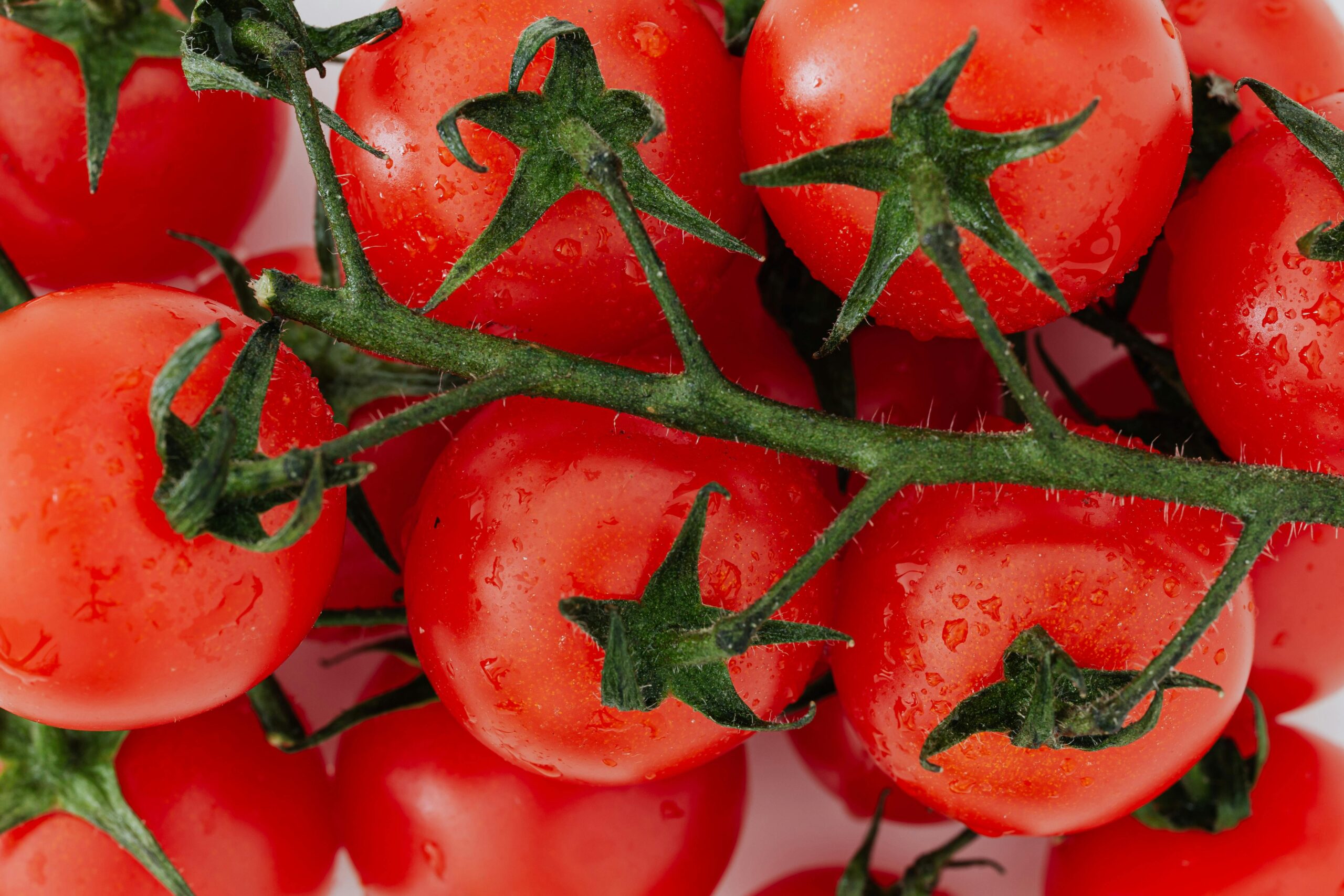 What Is Carbs in Tomato? Benefits, Uses & What to Know